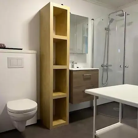 Lekkert Gjestehus Med Gratis Parkering Pa Stedet. Levanger Exterior photo